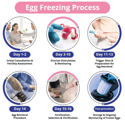 Egg Freezing