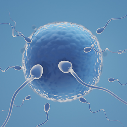 Fertility Preservation